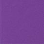 violet translucide brillant / blanc / violet translucide brillant