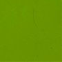 vert clair translucide brillant / blanc / vert clair translucide brillant