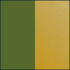 vert foncé translucide | or pâle poli